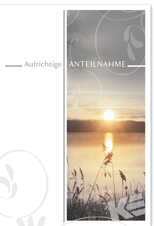 81-1365